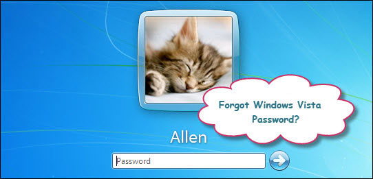 forgot windows vista password how to reset